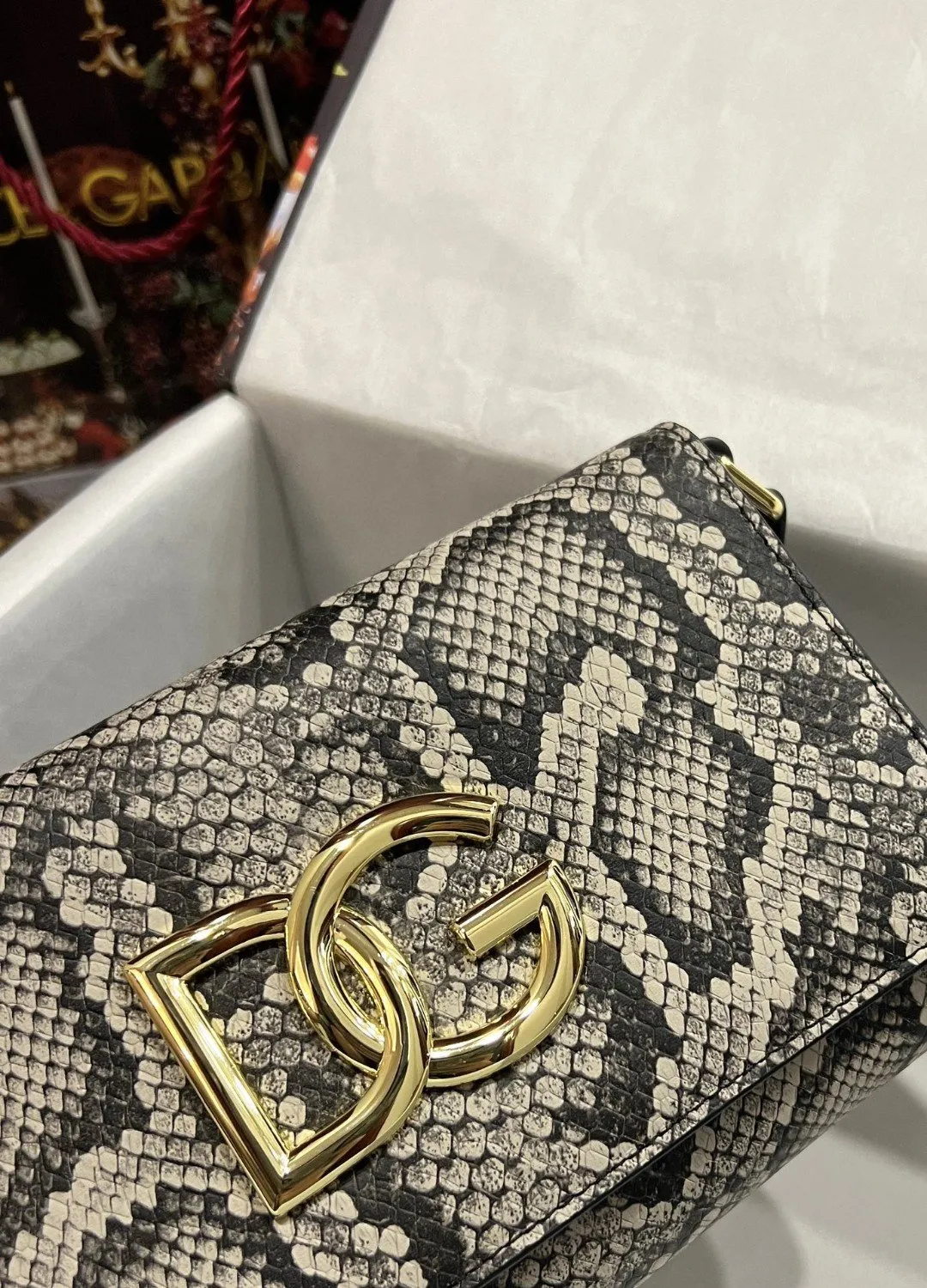 DG 3.5 Clutch Muticolour For Women 8.3in/21cm DG 