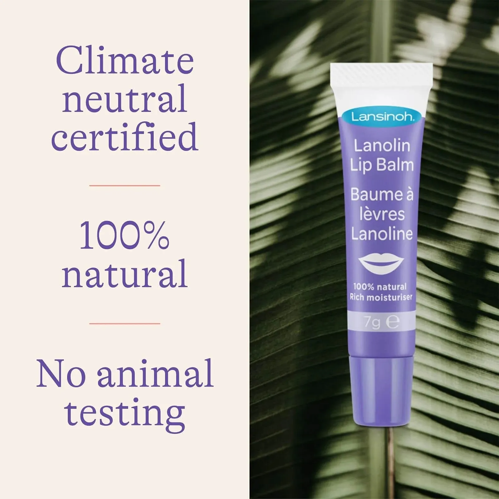 Lansinoh Lanolin Lip Balm 7g