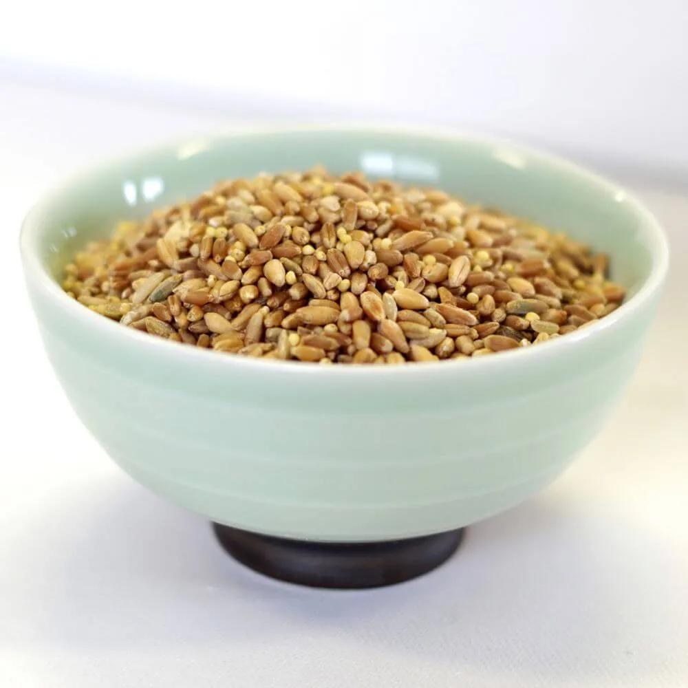 Rainy Day Foods 7-Grain Mix 25 lbs Bag - 199 Servings