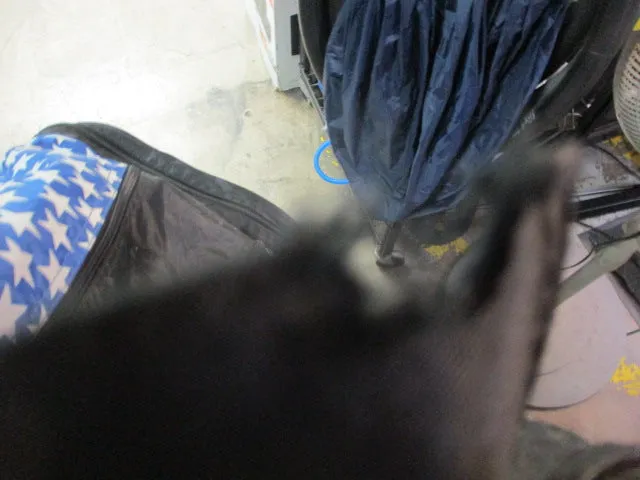 Used Sang Moo SA Taekowndo Duffle Bag